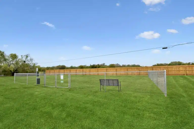 Dog Park